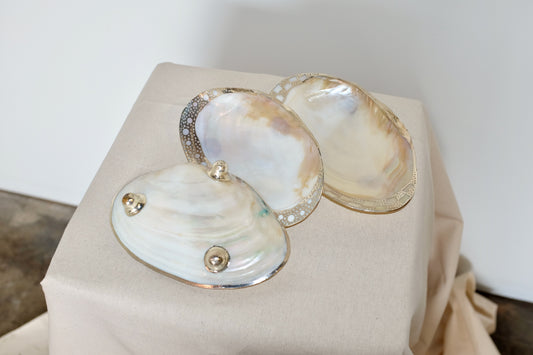 Silvered Mother of Pearl Catch-all Set